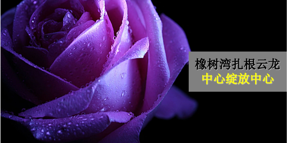 2017华润橡树湾售楼处公开策划案_第5页