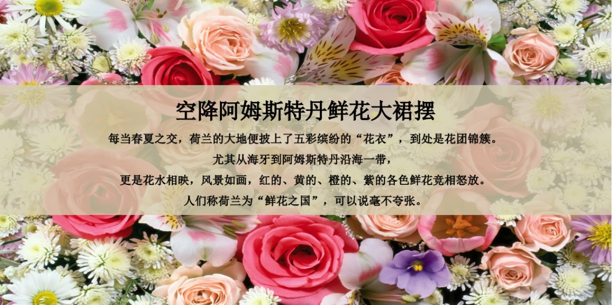 2017华润橡树湾售楼处公开策划案_第8页