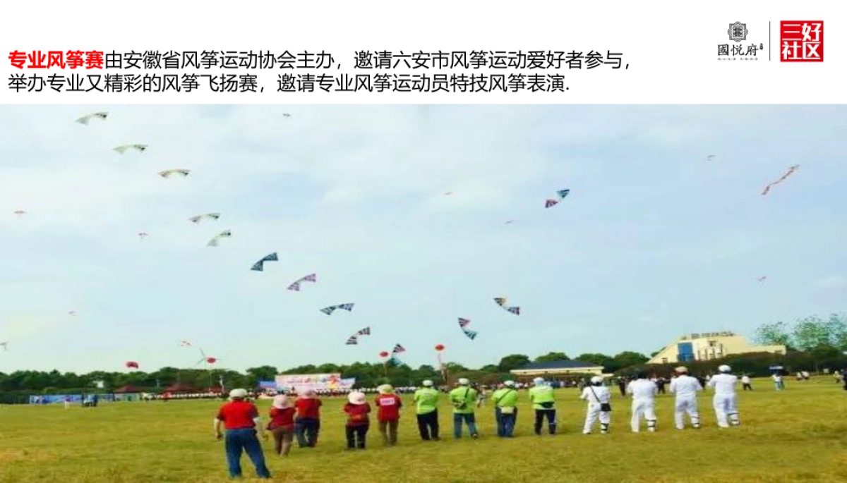 2017振兴国悦府风筝节策划案_第10页