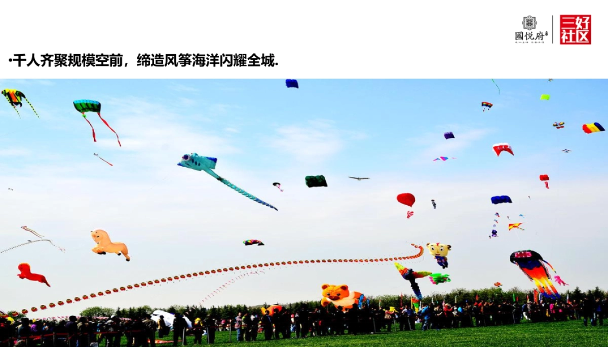 2017振兴国悦府风筝节策划案_第7页