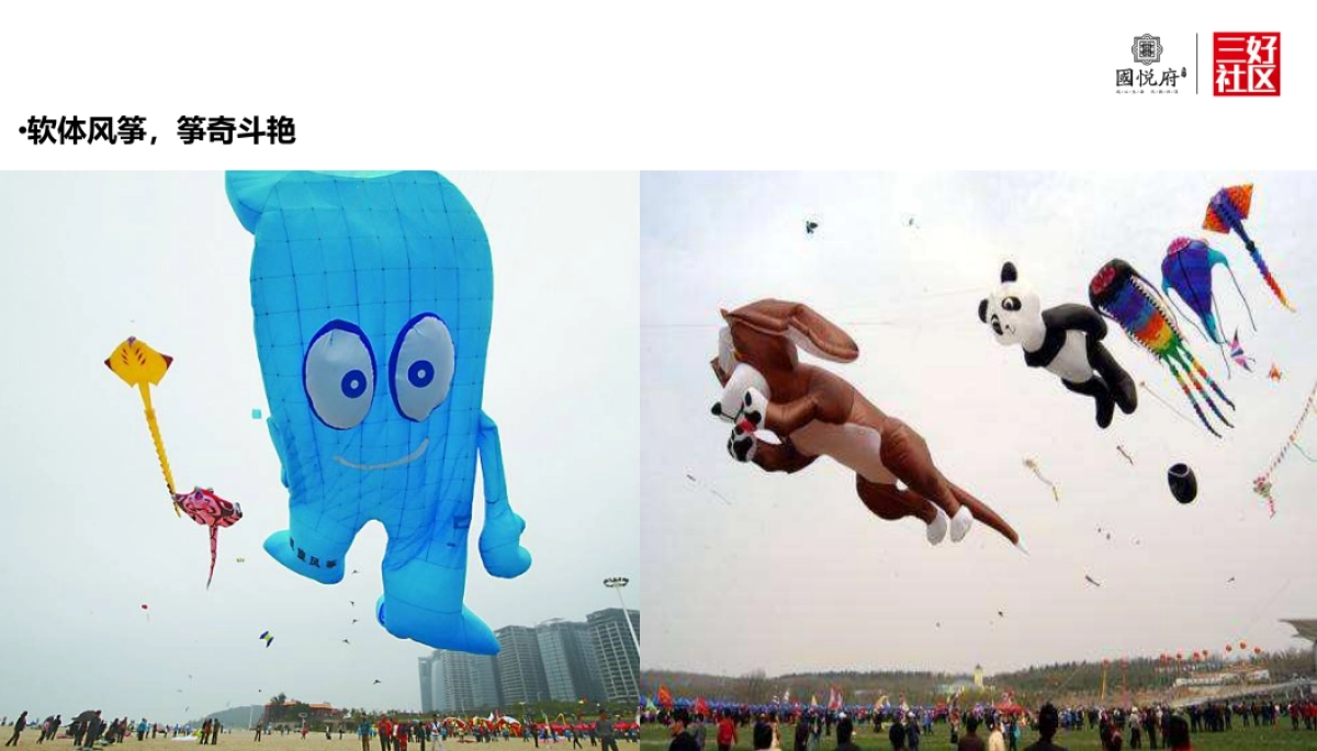2017振兴国悦府风筝节策划案_第8页