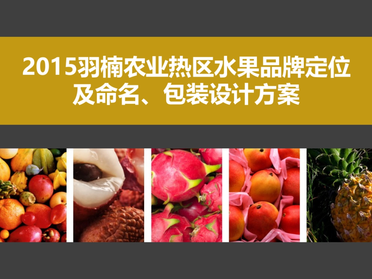 奥美-2015羽楠热区水果品牌定位方案_第2页