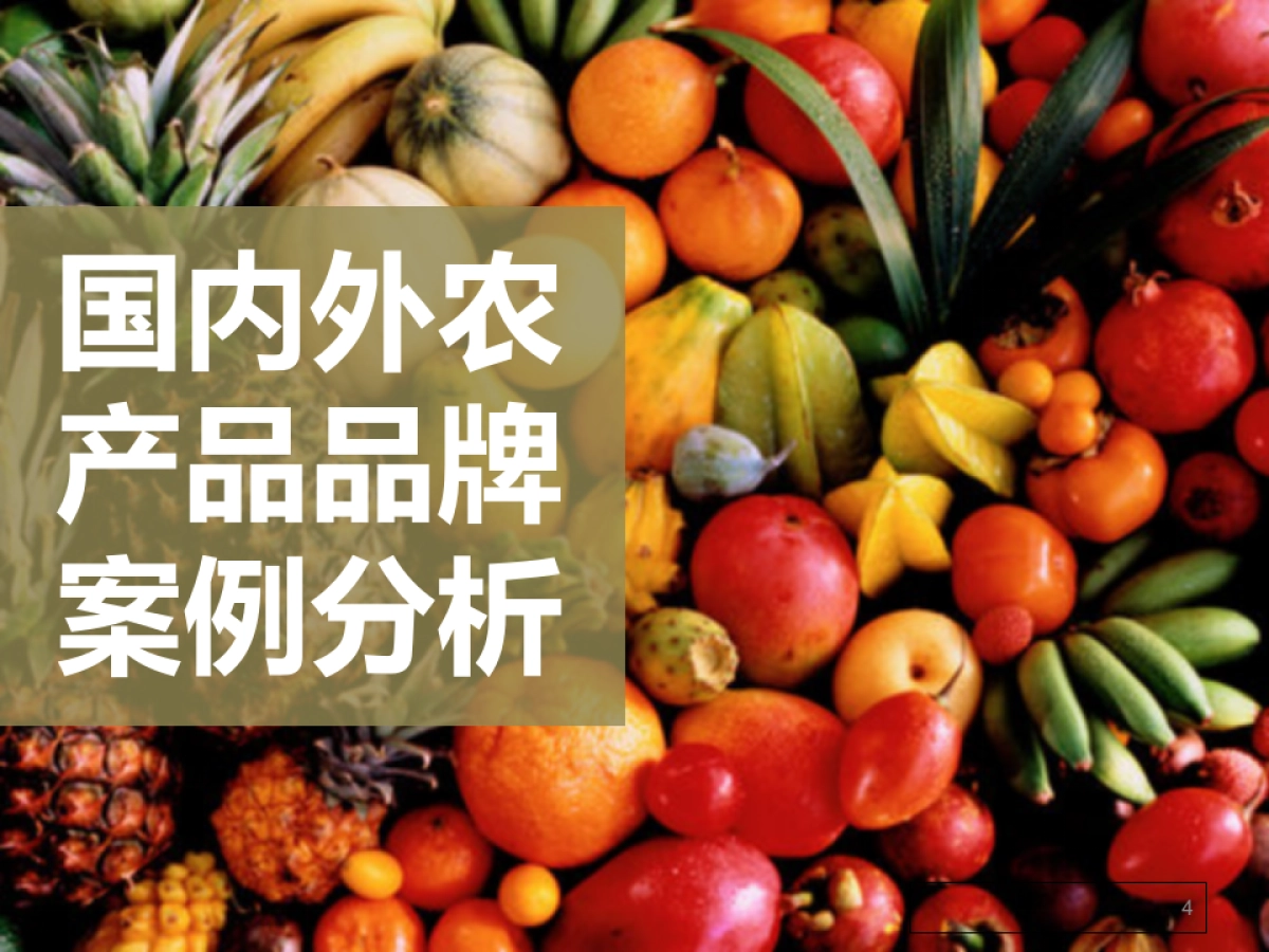 奥美-2015羽楠热区水果品牌定位方案_第4页