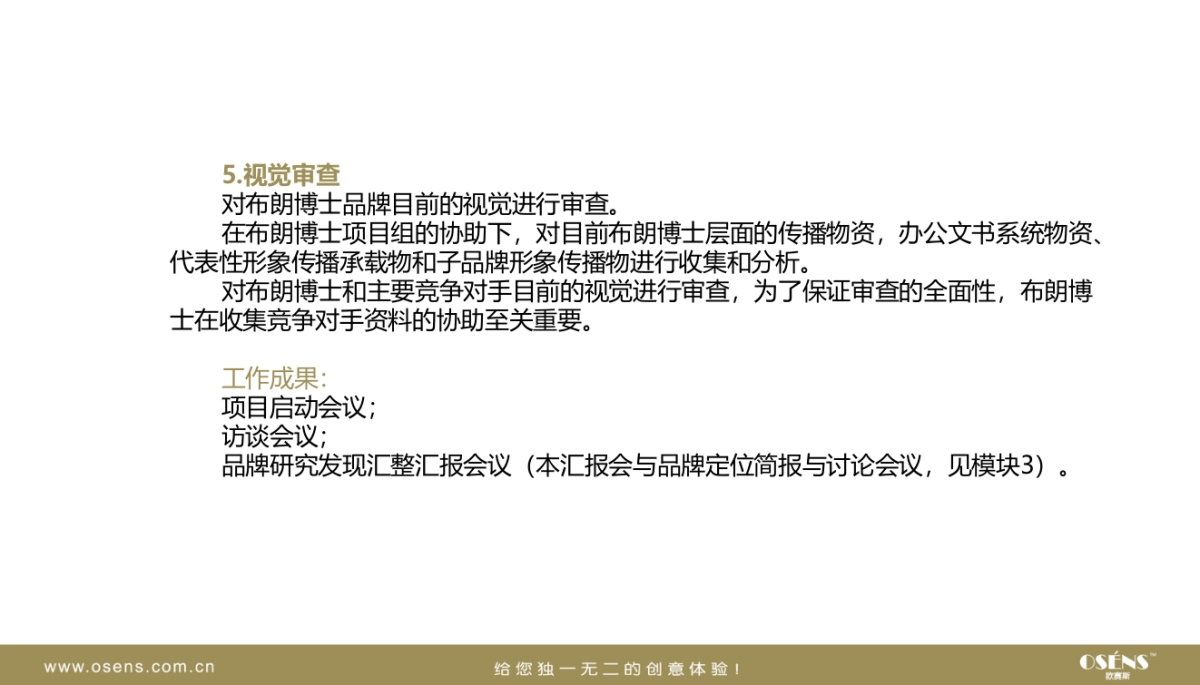 布朗博士品牌形象塑造项目书_第8页