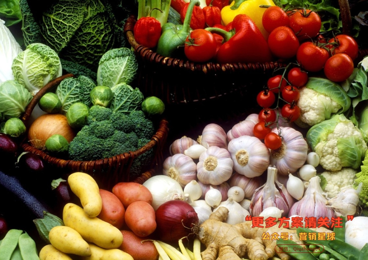 广东淳天然品牌调性方案_第4页