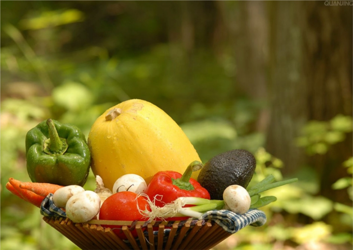 广东淳天然品牌调性方案_第6页