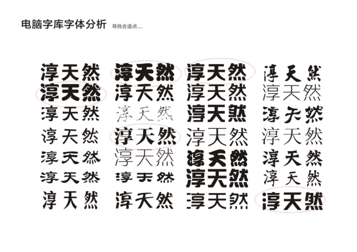 广东淳天然品牌调性方案_第9页