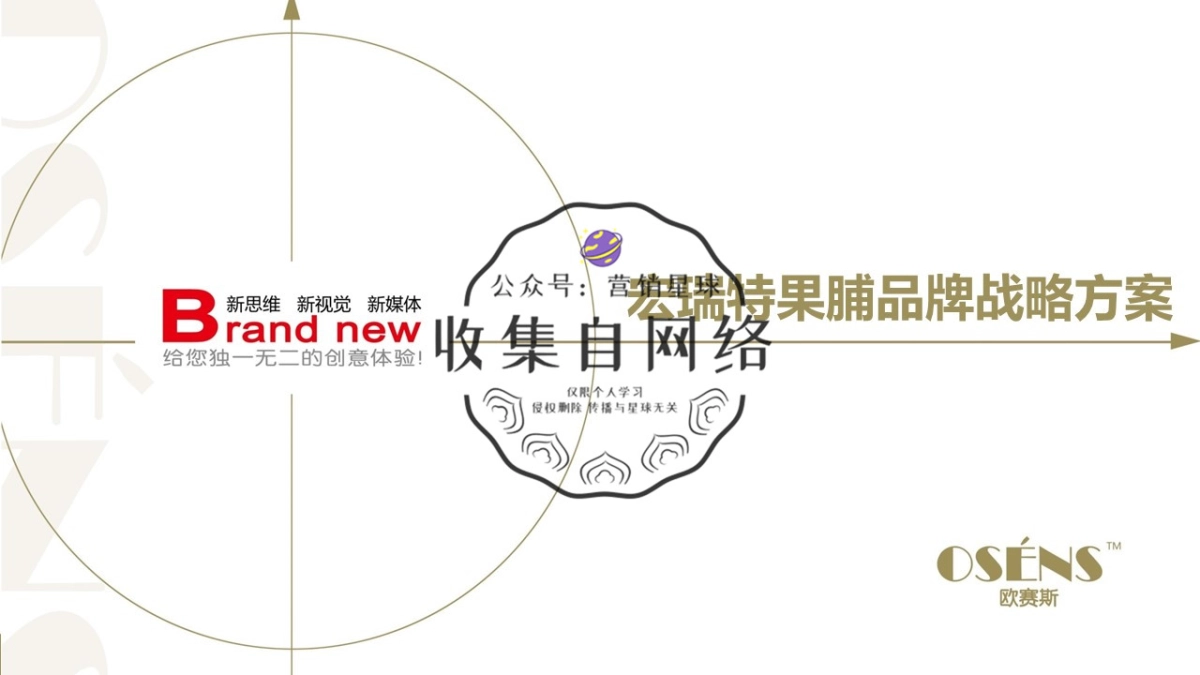 宏瑞特果脯品牌战略方案_第1页