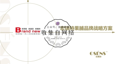 宏瑞特果脯品牌战略方案