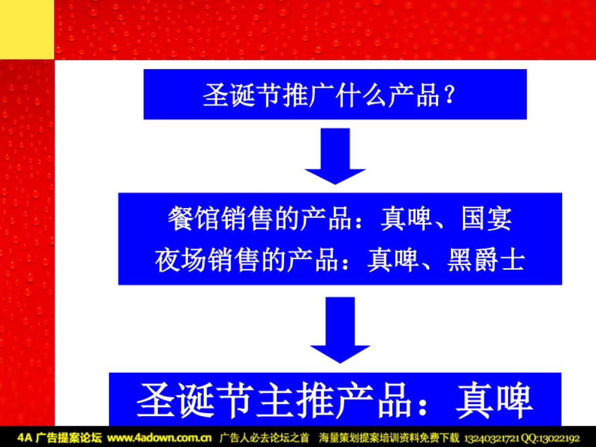 2004惠泉啤酒圣诞节推广方案-74P_第6页