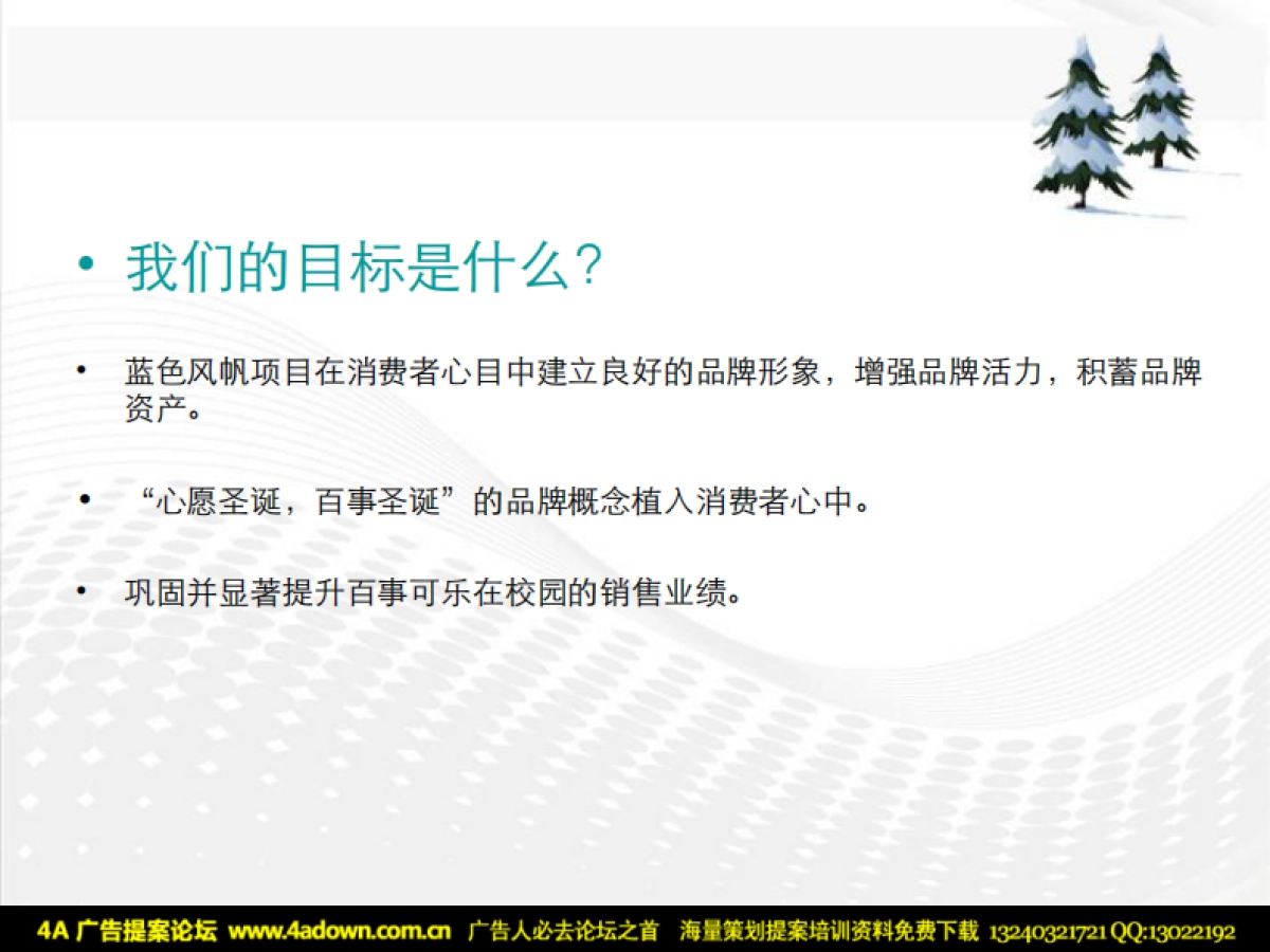 2008百事可乐蓝色风帆圣诞节活动方案-60p_第5页