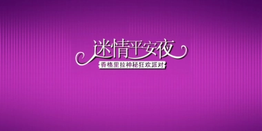2009迷情平安夜-香格里拉圣诞狂欢派对方案-60p