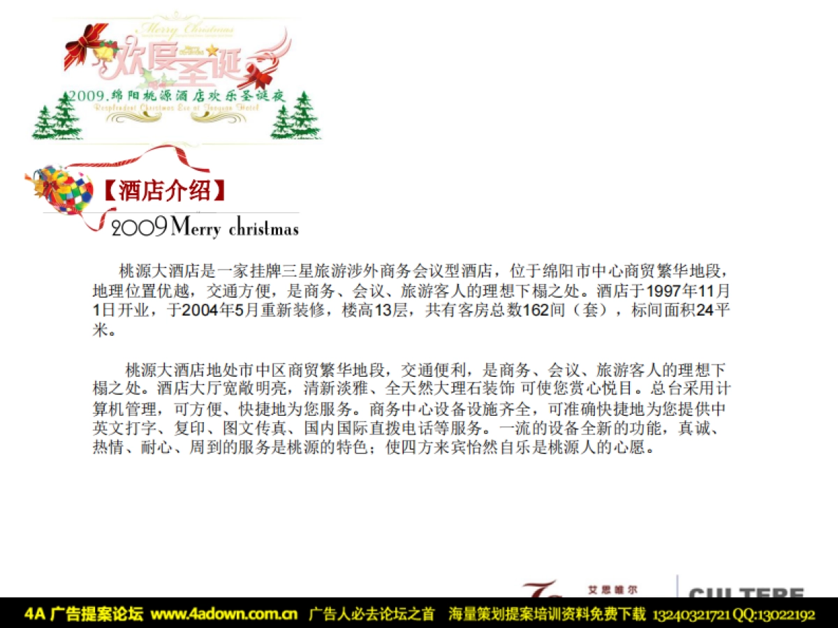 2009桃园酒店圣诞演出策划方案-26P_第4页