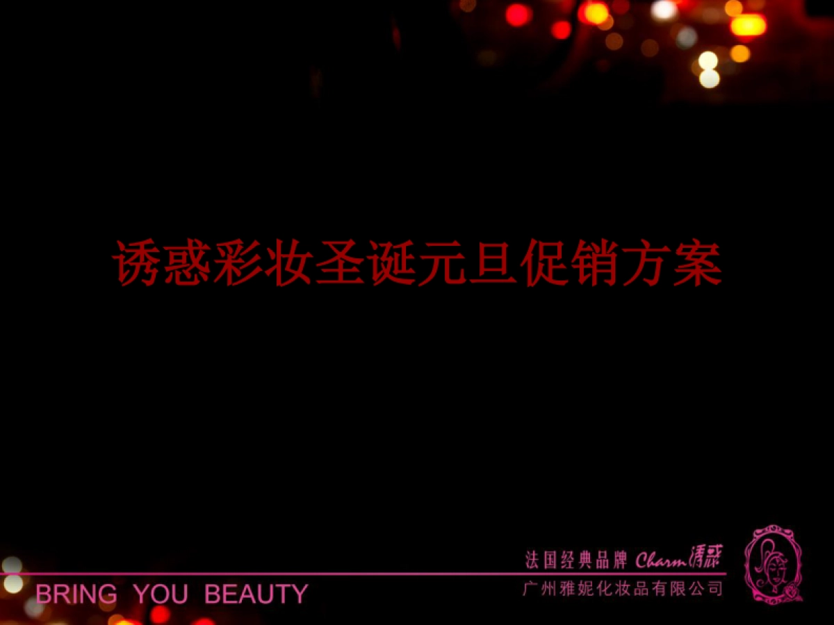 2010诱惑彩妆圣诞元旦促销方案-19P_第1页