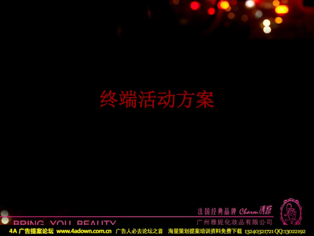 2010诱惑彩妆圣诞元旦促销方案-19P_第4页