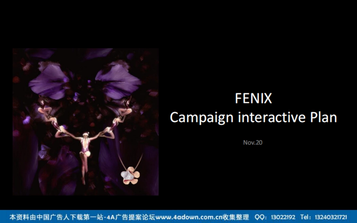 2011FENIX珠宝品牌情人节及圣诞节网络推广构想-46P_第1页