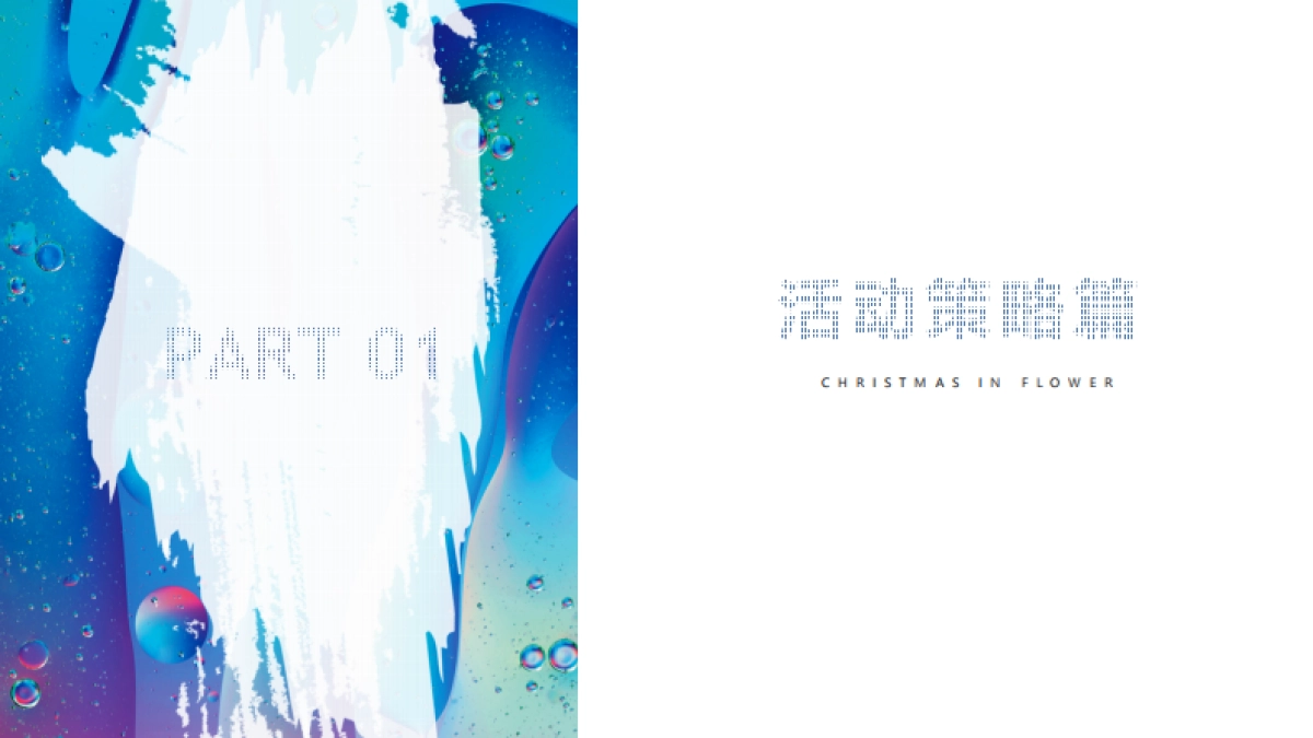 2020商业广场圣诞季活动营销策划方案_第3页