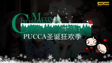 迪胜世纪-PUCCA圣诞狂欢季推荐方案