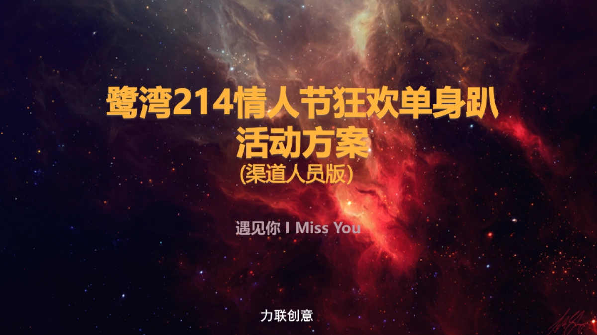 2017鹭湾情人节狂欢单身趴活动方案_第1页