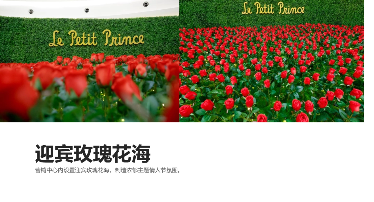 2017罗牛山广场520情人节专场活动方案_第9页