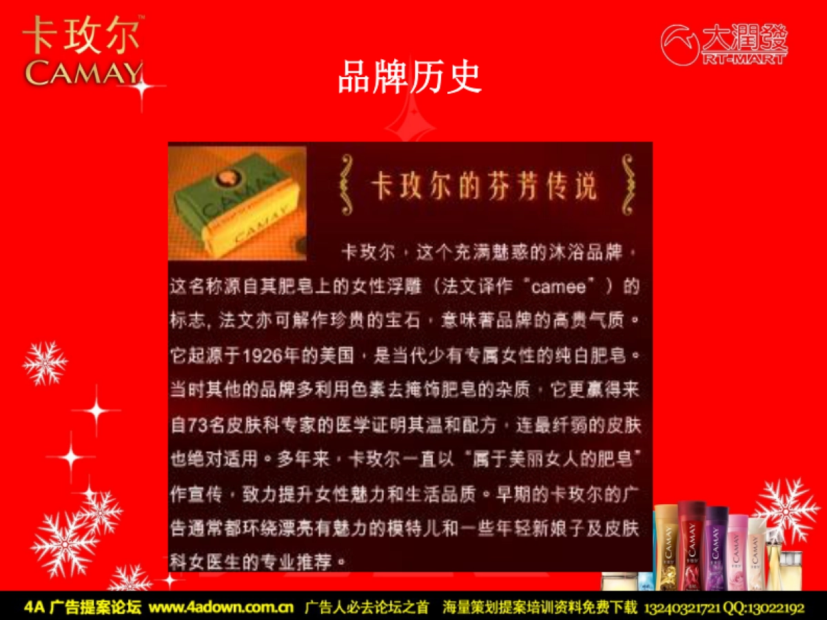 迷情圣诞卡玫尔活动策划-43P_第5页