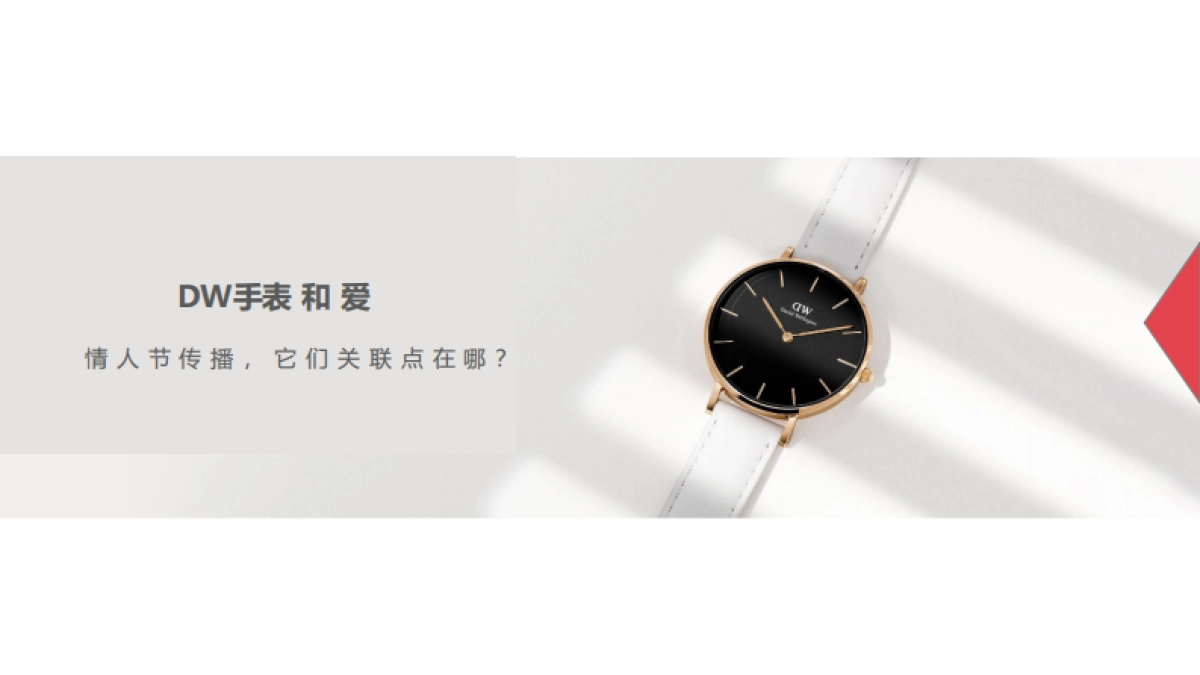 品牌推广-手表-2019dwx网易云情人节宣传推广方案_第10页