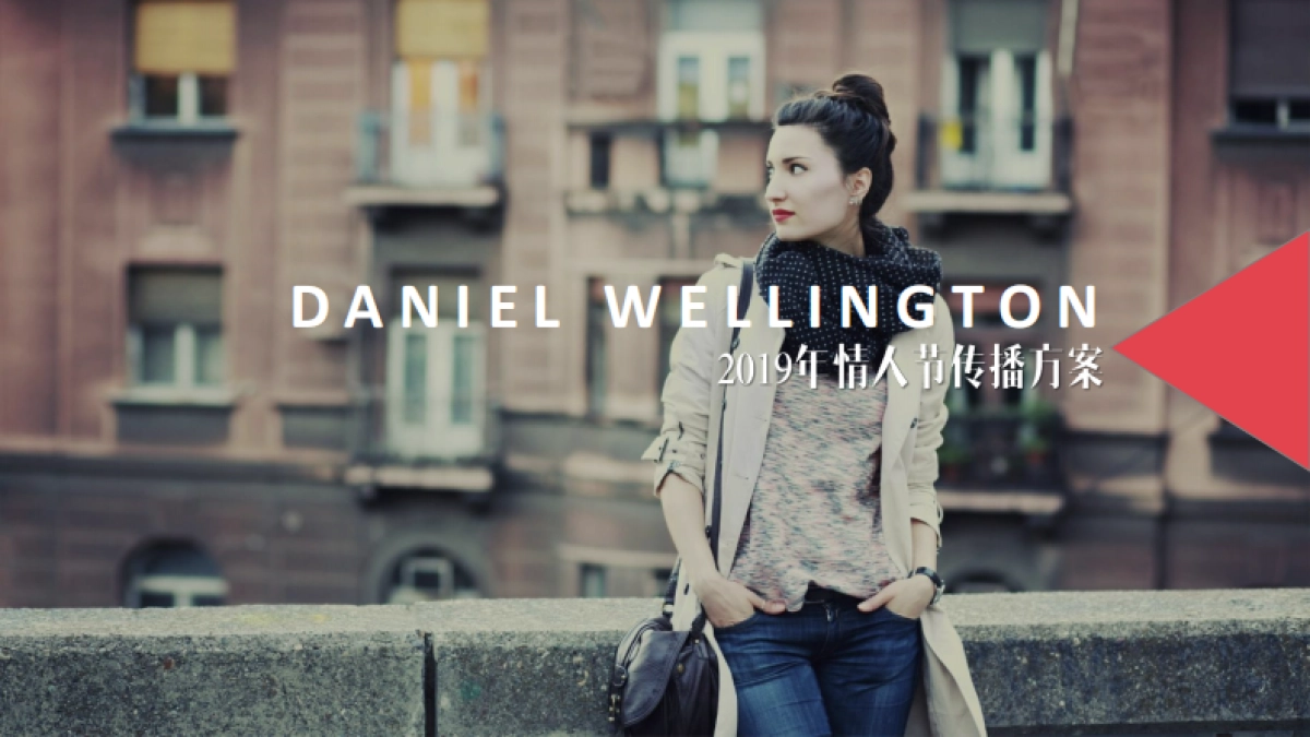 品牌推广-手表-2019dwx网易云情人节宣传推广方案_第2页