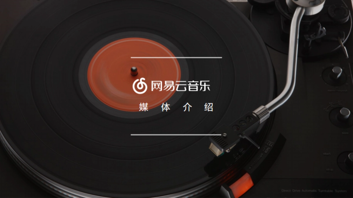 品牌推广-手表-2019dwx网易云情人节宣传推广方案_第3页