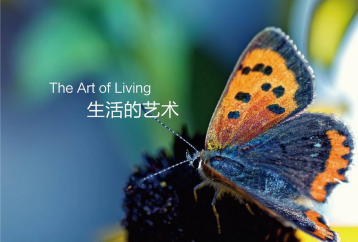 生活的艺术+TRYBA特诺发节能门窗_第2页