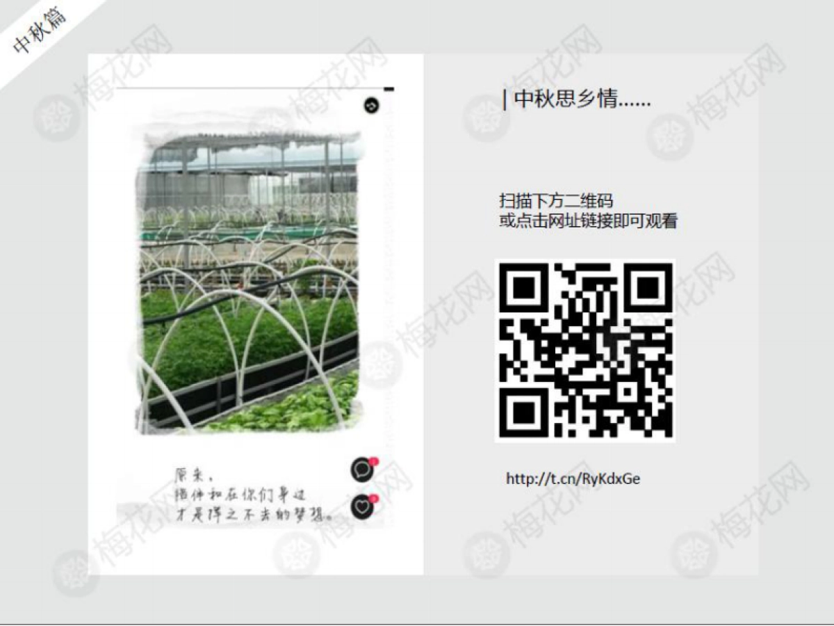 中秋方案合 集——H5_第9页