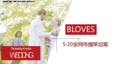 珠宝品牌BLOVES·520情人节全网传播策划案-55P