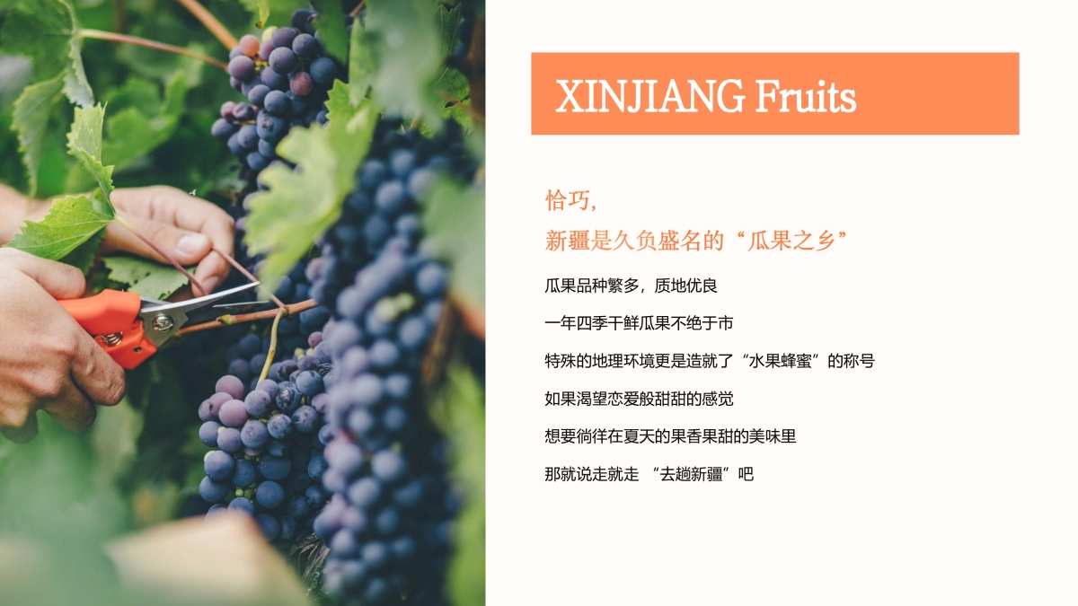 2021新疆鲜果甜品节_第5页