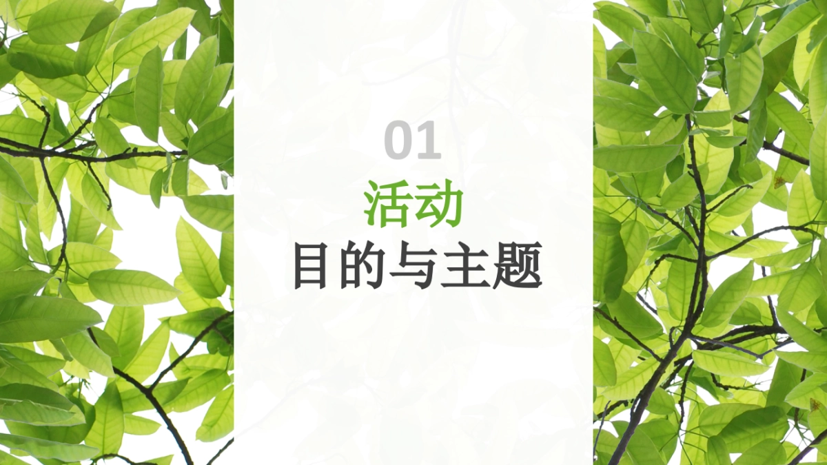 2018年伊利金典端午节路演&MINI秀思路案 _第3页