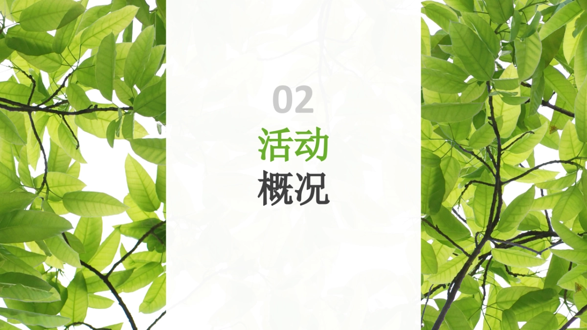 2018年伊利金典端午节路演&MINI秀思路案 _第6页