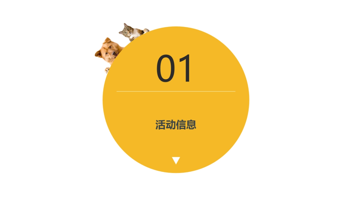 2019常德欢乐城五一假期萌宠引流方案_第3页