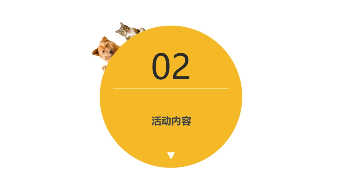 2019常德欢乐城五一假期萌宠引流方案_第5页