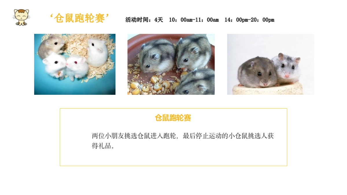 2019常德欢乐城五一假期萌宠引流方案_第7页