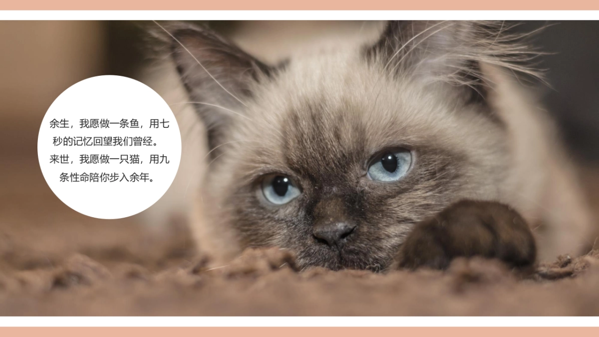 2019御景滨江花园五一主题活动思路案_第2页