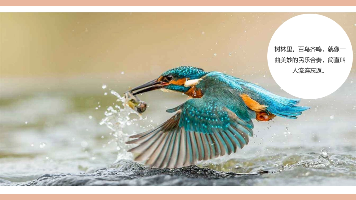 2019御景滨江花园五一主题活动思路案_第3页