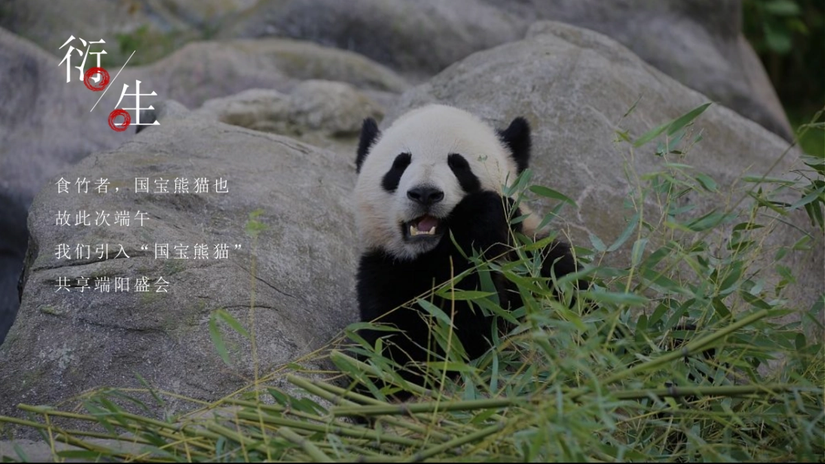 2021国潮端午节(国潮端午 国宝来袭主题)活动策划方案-29P_第4页