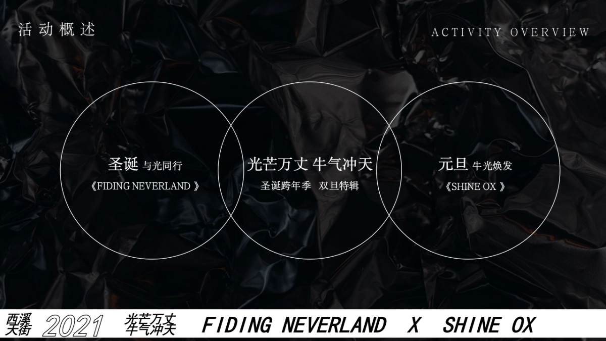 2021商业广场圣诞跨年季(光芒万丈 牛气冲天主题)活动策划方案_第6页