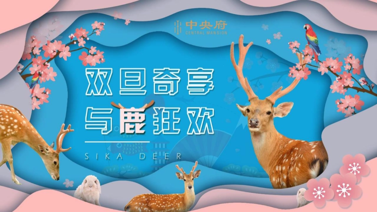 2021圣诞节&元旦系列（双旦奇享 与鹿狂欢主题）活动策划方案_第9页