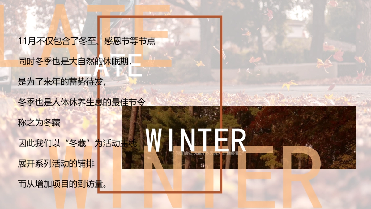 2022“不期而遇的冬天”十一月月度亲子互动暖场圈层活动方案_第4页