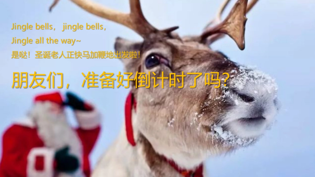 2022圣诞嘉年华“梦幻童话季·圣诞狂想曲”主题活动策划方案_第4页