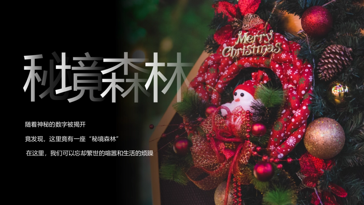 购物中心圣诞节系列“奇幻森诞之旅”主题活动策划方案_第6页