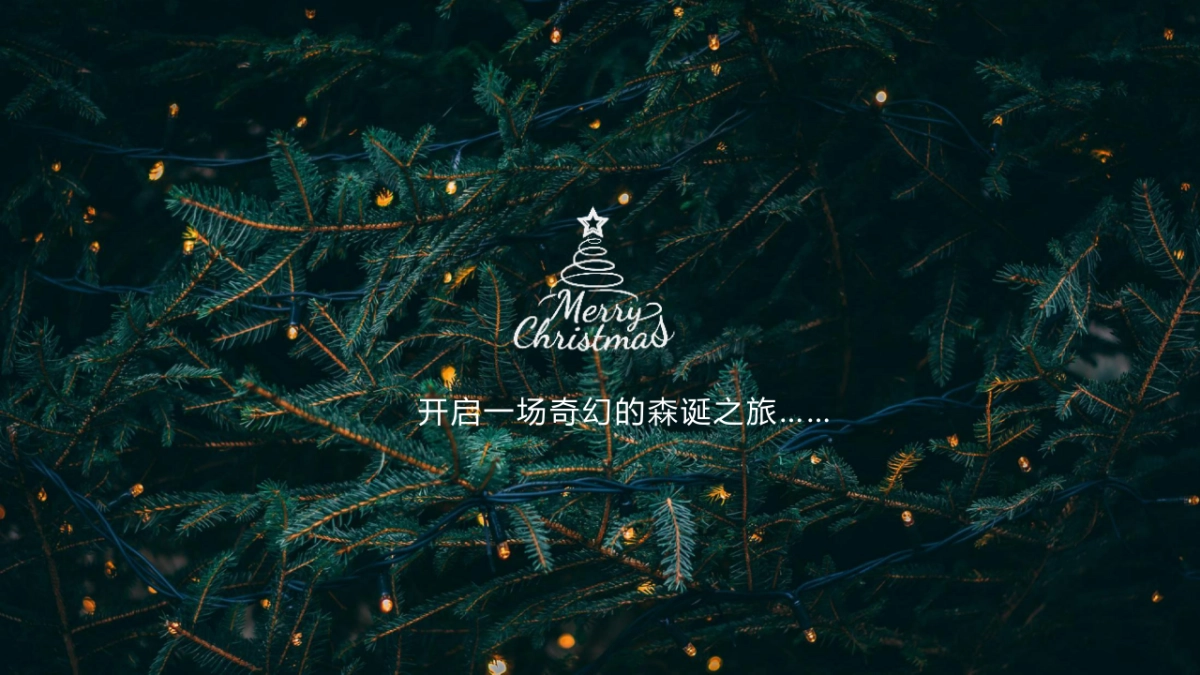 购物中心圣诞节系列“奇幻森诞之旅”主题活动策划方案_第7页