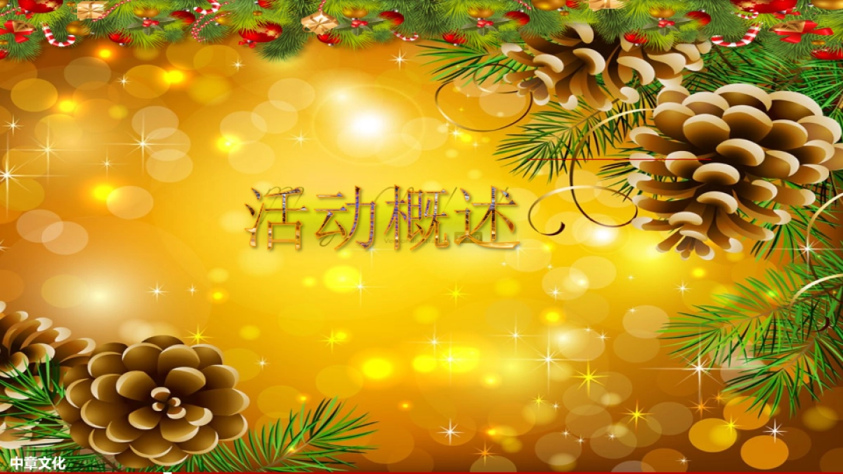 合生生活天地圣诞节活动暨开业典礼方案_第10页