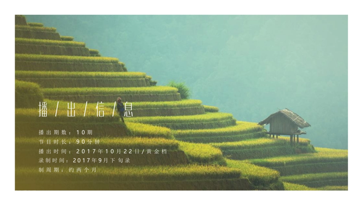 湖南卫视综艺节目《让世界听见》方案_第2页