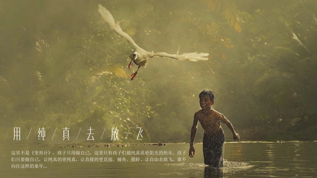 湖南卫视综艺节目《让世界听见》方案_第7页