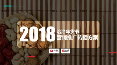 洽洽年货节方案